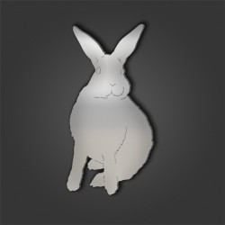 Rabbit Style 2