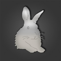 Rabbit Style 4