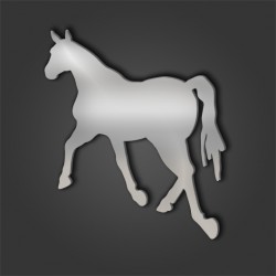 HORSE STYLE 36