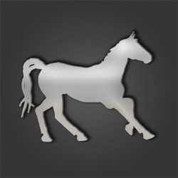 HORSE STYLE 71