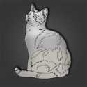 AMERICAN SHORTHAIR STYLE 1