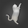 EXOTIC SHORTHAIR STYLE 9