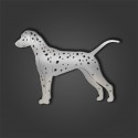 Dalmation Style 3