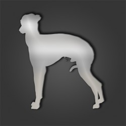 Italian Greyhound Style 2