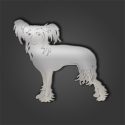Chinese Crested Style 3