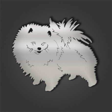 Pomeranian Style 5