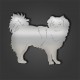 Tibetan Spaniel Style 3