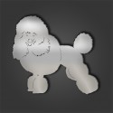 Minature Poodle