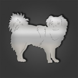 Tibetan Spaniel Style 3