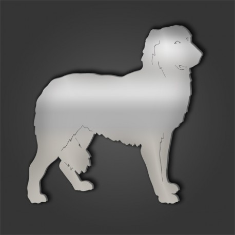 Maremma Sheepdog