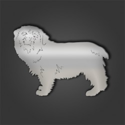 Norfolk Terrier Style 2
