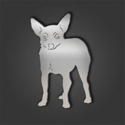 Toy Fox Terrier Style 2