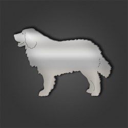 Bernese Mountain Dog Style 2