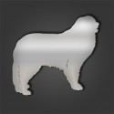 Pyrenean Mountain Dog