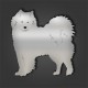 Samoyed Style 1