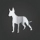 Xolo (Mexican Hairless) Style 1