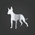 Xolo (Mexican Hairless) Style 1
