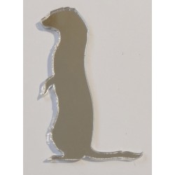 Ferret Style 1